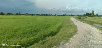 ที่ดิน 1200000 ขอนแก่น พล เมืองพล