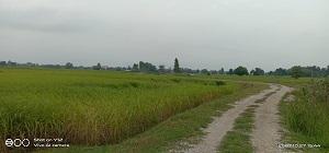 ที่ดิน 1200000 ขอนแก่น พล เมืองพล