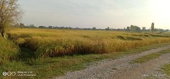 ที่ดิน 1200000 ขอนแก่น พล เมืองพล