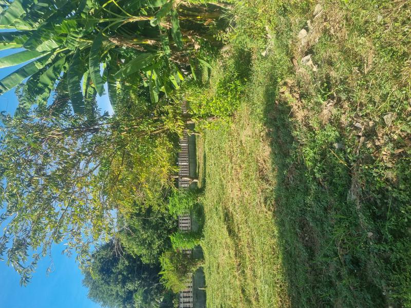 ที่ดิน 1500000 ขอนแก่น เมืองขอนแก่น ศิลา