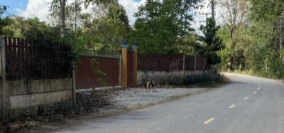 บ้านพร้อมที่ดิน 9900000 ฉะเชิงเทรา พนมสารคาม เกาะขนุน