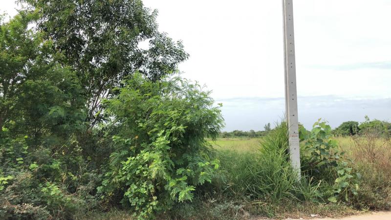 ที่ดิน 5200000 นนทบุรี ไทรน้อย ราษฎร์นิยม